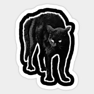 Black cat Sticker